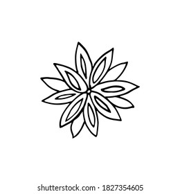Holiday flower doodle. Anise spice in vector. Image for web, print, holiday posters and cards.