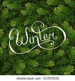 Holiday gift card with hand lettering Winter on Christmas fir tree branches background. Vector illustration for your design