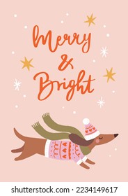 Holiday Graphic With Handwritten Phrase „Merry And Bright”. Cute Christmas Illustration With Dachshund In Pink Knitted Sweater And Long Green Scarf. Ideal For Greeting Card Design.