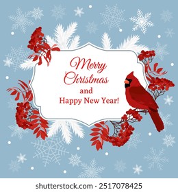 Holiday greeting Christmas card with with a cardinal bird and rowan branches on a blue background. Christmas template for banner, ticket, leaflet, card, invitation