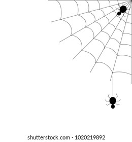 holiday halloween, decoration spider web with a spider, vector, for decorating sites and an excerpt