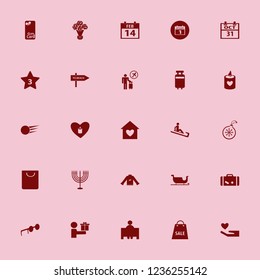 holiday icon. holiday vector icons set christmas ball, travelling luggage, tourist flying and halloween date on calendar