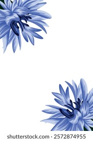 holiday invitation or greeting card template with a plant design of various cornflower on both sides