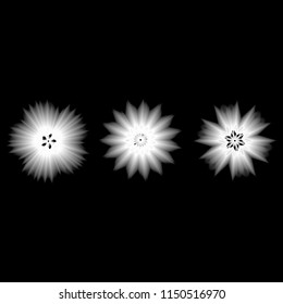 Holiday patterns of stars and flowers for gifts geometric pentagram