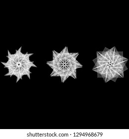 Holiday patterns of stars and flowers for gifts geometric pentagram