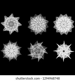 Holiday patterns of stars and flowers for gifts geometric pentagram