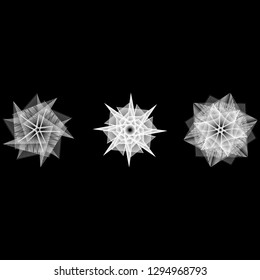 Holiday patterns of stars and flowers for gifts geometric pentagram