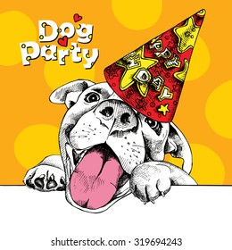 Holiday Poster Of Image Funny Dog In A Party Hat On Yellow Background. Vector Illustration.
