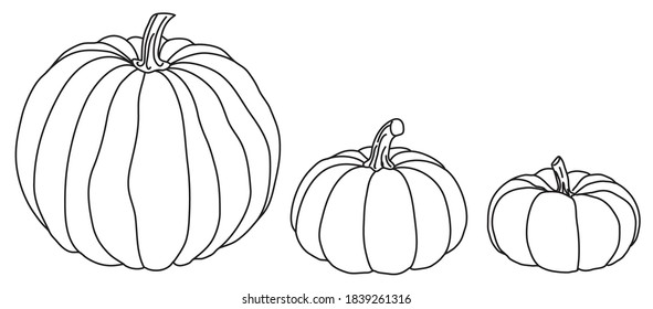 Holiday pumpkins decorative drawing vector