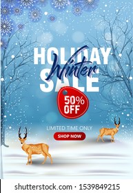 Holiday sale, winter sale Christmas, new year, banner. Poster, background, flyer, invitation card, template design with winter elements