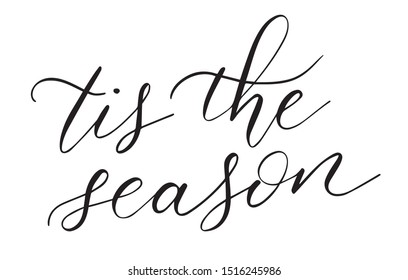 holiday script quote tis the season hand lettering design. Christmas greeting as an isolated vector.