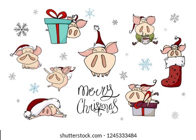 Holiday winter collection of cute doodle christmas characters in santa hats. Funny piggies - symbol of 2019 year. Christmas and new year lettering calligraphy. Hand drawn illustration. Festive card.