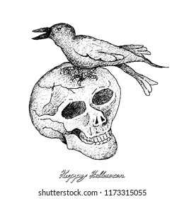 Holidays And Celebrations, Illustration Hand Drawn Sketch of Human Skull and Crow Isolated on White Background. Sign For Halloween Festival.