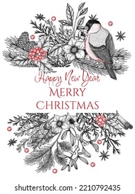 Holidays greeting card vector template with christmas plants and bullfinch. Christmas tree branch with cones, juniper, pine, holly, thuja, mistletoe, hellebore, dogwood