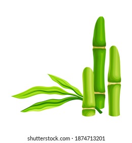 Hollow Bamboo Stalk with Vascular Bundle Standing Upright Vector Illustration