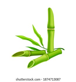 Hollow Cut Bamboo Stalk with Vascular Bundle Vector Illustration