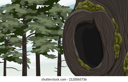 A hollow in an old mossy tree. Pine forest. Realistic vector landscape