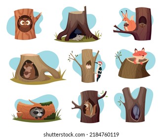 Hollow trees. Cozy houses for wild forest animals exact vector characters