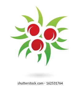 Holly Berries Abstract Icon