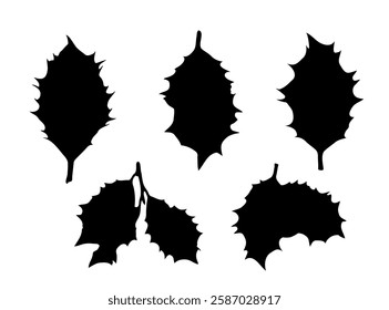 Holly Berries Leaves Icon, Holy Berry Grunge Leaf Symbol, European Ilex Branch silhouette, Xmas Sprig sign, Christmas Decoration, Winter Branch on White Background