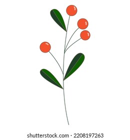 Holly berries and leaves vector illustration
