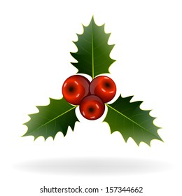 Holly berries on white background. Christmas decorations. Vector eps10 illustration