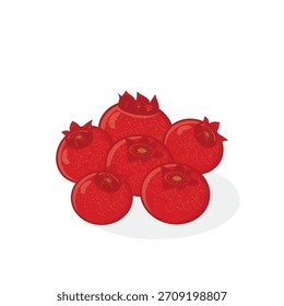 Holly berries. red berries. red berry vector cartoon illustration
