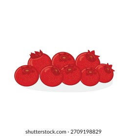 Holly berries. red berries. red berry vector cartoon illustration