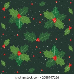 Holly with berries and snow, vector pattern on a green background.