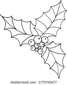 Holly with berries. Three leaflets. Black-white contour. Vector illustration. Freehand drawing. New Year's and Christmas.