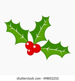 Holly berries vector illustration