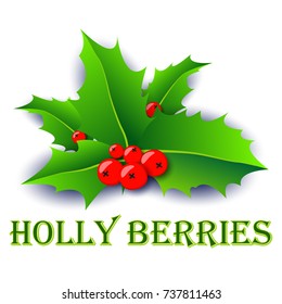 Holly berries xmas poster. Vector illustration for christmas gift card, flyer, certificate or banner.