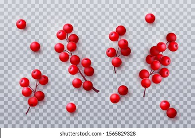 Holly berry branches isolated on transparent background. Vector realistic Christmas decoration set of red berries