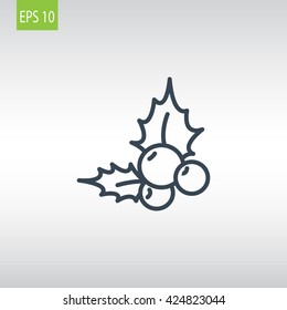  Holly berry Christmas icon Vector