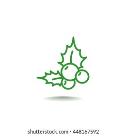  Holly berry Christmas icon Vector.