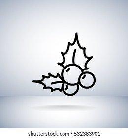  Holly berry Christmas icon Vector.