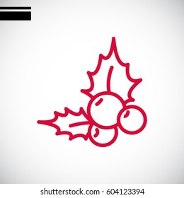  Holly berry Christmas icon Vector.