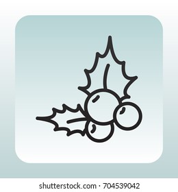  Holly berry Christmas icon Vector.