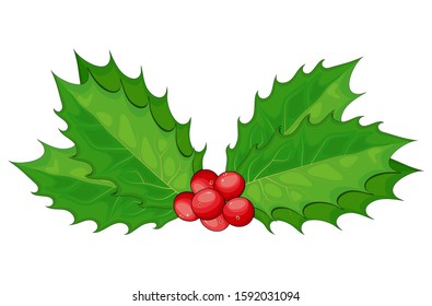 Holly berry, Christmas leaves and fruits icon, symbol, design. Winter vector illustration on white background. Decorative twigs, bunches of Mistletoe with red berries.