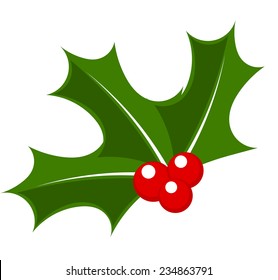 Holly berry. Christmas symbol vector illustration