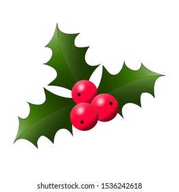 Holly berry christmas tree leaves vector icon