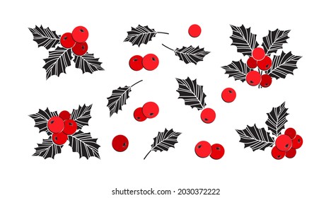 Holly berry christmas vector icons, season decoration set, winter plants. Holiday illustration