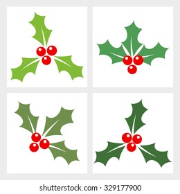 Holly berry collection. Vector illustration