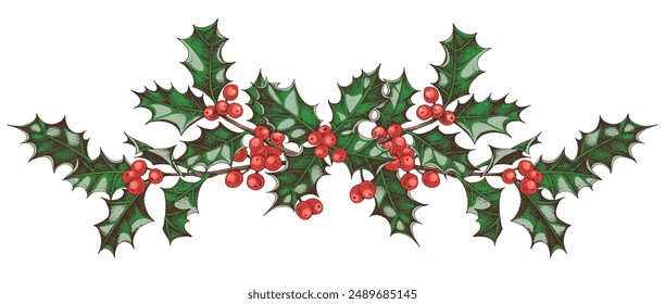 Holly berry colorful vector border