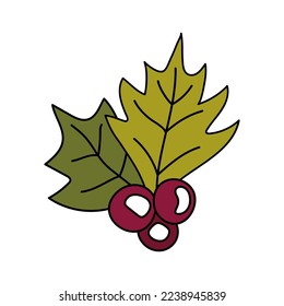 Holly berry doodle. Christmas, New Year element for decor. Vector outline illustration