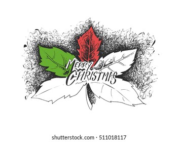 Holly Berry Elements of Christmas decoration. Vector design