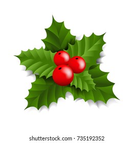 Holly Berry Gradient Mesh Vector Illustration