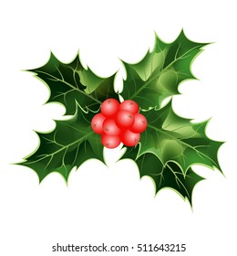 Holly berry. Hand drawn vector illustration of holly twig with berries and leaves isolated on white background for Christmas cards and decorative design.