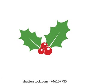 Holly berry icon. Christmas icon. Vector holly berry icon.  Holly berry leaves illustration.  2025 Christmas 