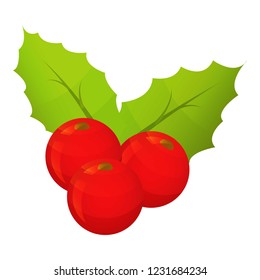 Holly berry icon. Isometric of holly berry vector icon for web design isolated on white background